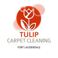Tulip Carpet Cleaning Fort Lauderdale image 6