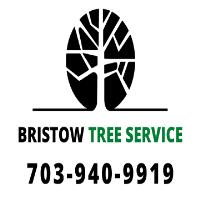Bristow Tree Service image 1