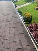 Clean Pro Gutter Cleaning Green image 1