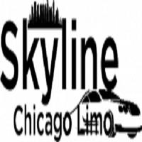 Skyline Chicago Limo image 11