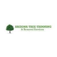 Arizona Tree Trimming & Removal - Scottsdale AZ image 2