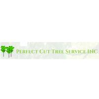 tree removal services white house ga image 1