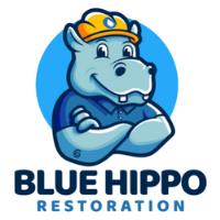 Blue Hippo Restoration image 1