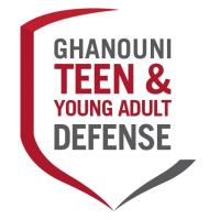 Ghanouni Teen & Young Adult Defense Firm image 1