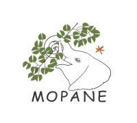 Mopane image 6