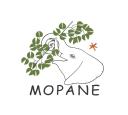 Mopane logo