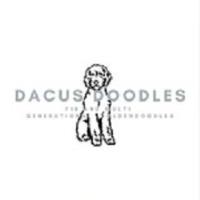 Dacus Doodles image 1