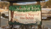 Animals Of Eden Veterinary Hospital PLLC image 3