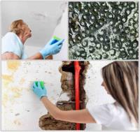 Water Mold Restoration Boss of Fort Lauderdale image 2
