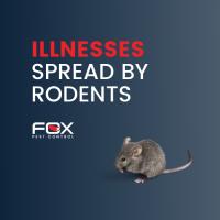 Fox Pest Control - Connecticut image 8
