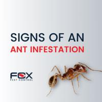 Fox Pest Control - Connecticut image 11