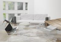 Flood Doctor | McLean, VA Water Damage Restoration image 4