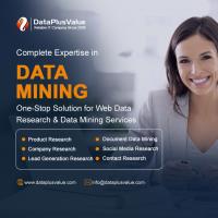Data Plus Value Web Services image 7