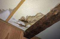 Water Damage Experts Of Fountain City image 4