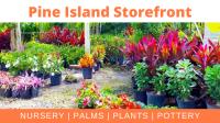 Beltran's Nursery & Landscape in Pine Island FL image 3