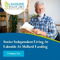 Lakeside At Mallard Landing image 2