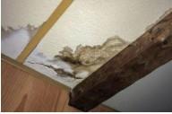 Water Damage Experts of Panther City image 3