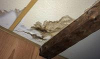 Water Damage Experts of Rose City image 4