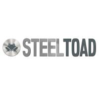 SteelToad Consulting LLC image 3