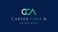CARTER COLE & ASSOCIATES LLC image 2