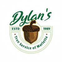 Dylan's Tree Service of Marietta East image 1