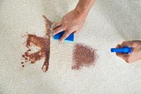 Carpet Cleaning Detroit MI image 2