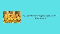  GSI Gold IRA Investing Andersonville TN image 2