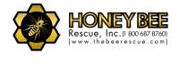 Honey Bee Rescue image 1
