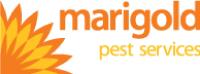 Marigold Pest Services image 1