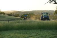 Ant's Tractor Mowing image 3