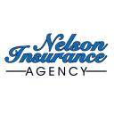 Nelson Insurance Agency logo