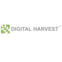 Digital Harvest logo
