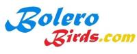 Bolero Birds image 1