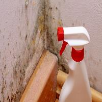 Lakeview Mold Experts image 1