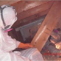Quigley Attic Mold Remediation Contractors image 10