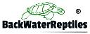 Backwater Reptiles And Lizards logo