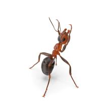 Bug-A-Way Termite & Pest Control image 7