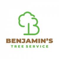 Benjamin's Tree Service image 1