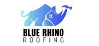 Blue Rhino Roofing image 4