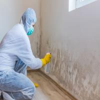 Mold Experts of Bloomington image 1