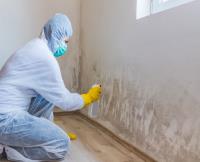 Mold Removal Memphis Solutions image 2