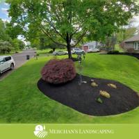 Merchan's Landscaping image 3