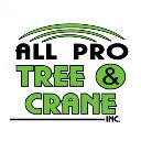 All Pro Tree & Crane, Inc. logo