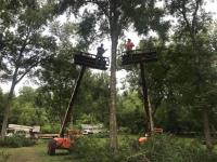 Dufour's Tree Service image 1