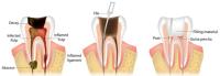 Ocoee Dental And Orthodontics image 27