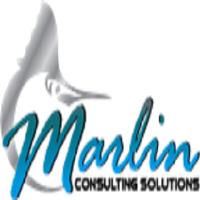 Marlin Consulting Solutions image 6