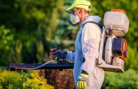 City of Trees Pest Control Experts image 1