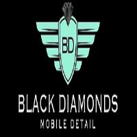 Black Diamonds Detailing image 1