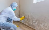 Lake Pleasant Mold Solutions image 4