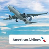 American Airlines image 2